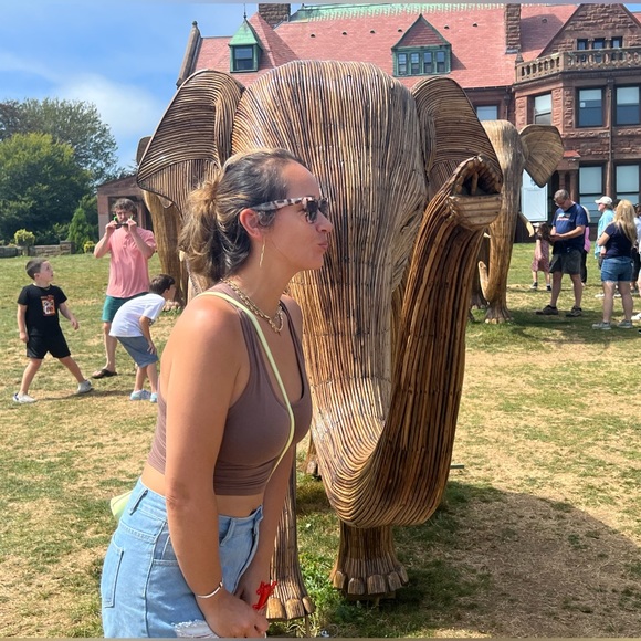 Meet your Posher, Elizabeth - Picture 1 of 1